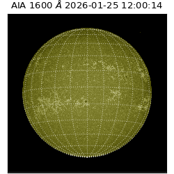 saia - 2026-01-25T12:00:14.118000