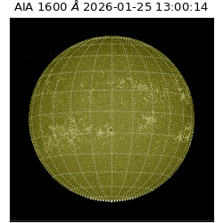 saia - 2026-01-25T13:00:14.126000