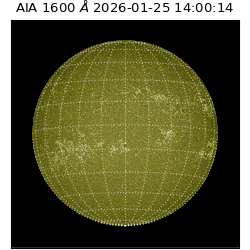 saia - 2026-01-25T14:00:14.126000