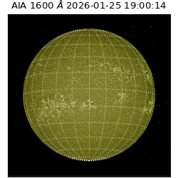saia - 2026-01-25T19:00:14.126000