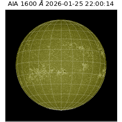 saia - 2026-01-25T22:00:14.122000