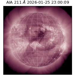 saia - 2026-01-25T23:00:09.632000