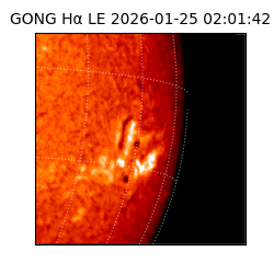 gong - 2026-01-25T02:01:42