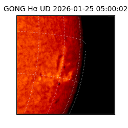 gong - 2026-01-25T05:00:02