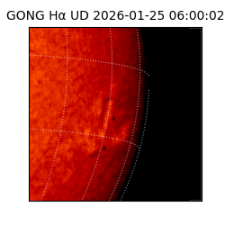 gong - 2026-01-25T06:00:02