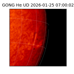 gong - 2026-01-25T07:00:02