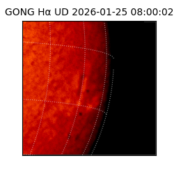 gong - 2026-01-25T08:00:02