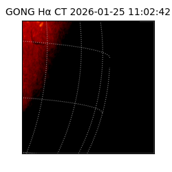 gong - 2026-01-25T11:02:42