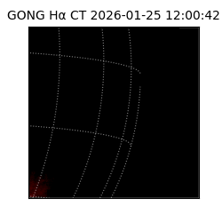 gong - 2026-01-25T12:00:42