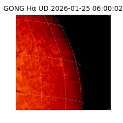 gong - 2026-01-25T06:00:02