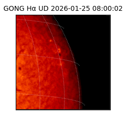 gong - 2026-01-25T08:00:02
