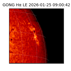 gong - 2026-01-25T09:00:42