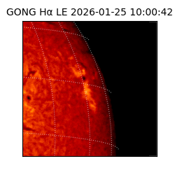 gong - 2026-01-25T10:00:42