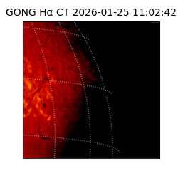 gong - 2026-01-25T11:02:42