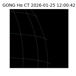gong - 2026-01-25T12:00:42