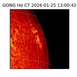 gong - 2026-01-25T13:00:42