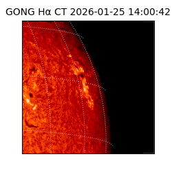 gong - 2026-01-25T14:00:42