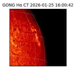 gong - 2026-01-25T16:00:42