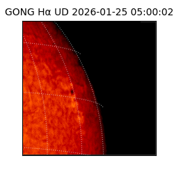 gong - 2026-01-25T05:00:02