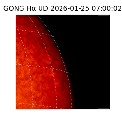 gong - 2026-01-25T07:00:02