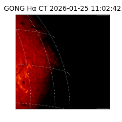 gong - 2026-01-25T11:02:42