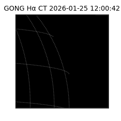 gong - 2026-01-25T12:00:42