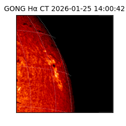 gong - 2026-01-25T14:00:42
