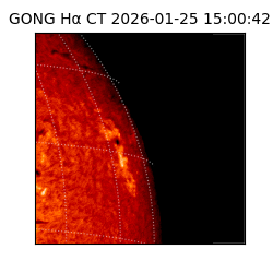 gong - 2026-01-25T15:00:42