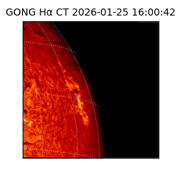 gong - 2026-01-25T16:00:42