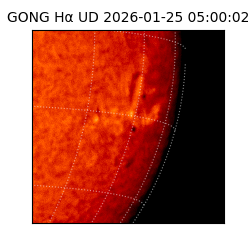 gong - 2026-01-25T05:00:02