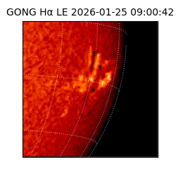 gong - 2026-01-25T09:00:42