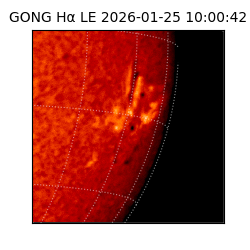 gong - 2026-01-25T10:00:42