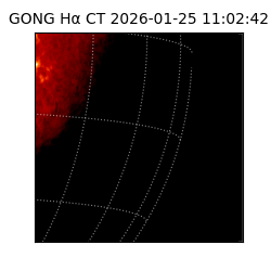 gong - 2026-01-25T11:02:42