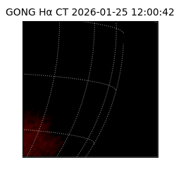gong - 2026-01-25T12:00:42