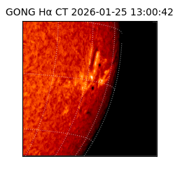 gong - 2026-01-25T13:00:42