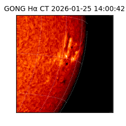 gong - 2026-01-25T14:00:42