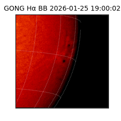 gong - 2026-01-25T19:00:02
