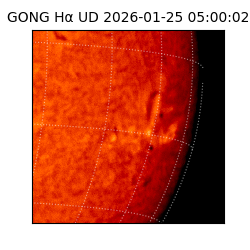 gong - 2026-01-25T05:00:02