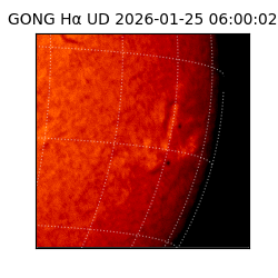 gong - 2026-01-25T06:00:02