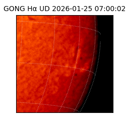 gong - 2026-01-25T07:00:02