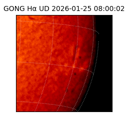 gong - 2026-01-25T08:00:02