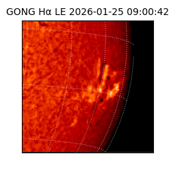 gong - 2026-01-25T09:00:42