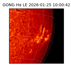 gong - 2026-01-25T10:00:42