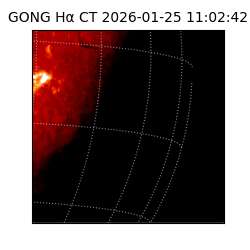 gong - 2026-01-25T11:02:42