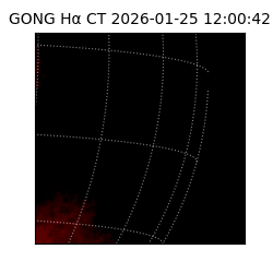 gong - 2026-01-25T12:00:42