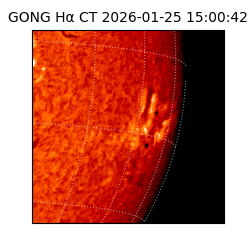 gong - 2026-01-25T15:00:42