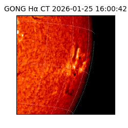 gong - 2026-01-25T16:00:42