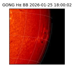 gong - 2026-01-25T18:00:02