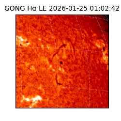 gong - 2026-01-25T01:02:42