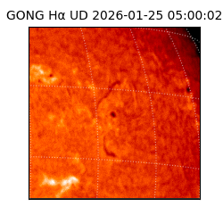 gong - 2026-01-25T05:00:02